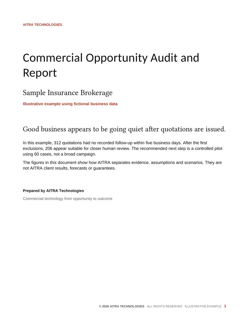 Cover of the illustrative Commercial Opportunity Audit and Report
